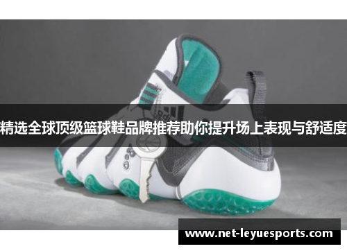 精选全球顶级篮球鞋品牌推荐助你提升场上表现与舒适度