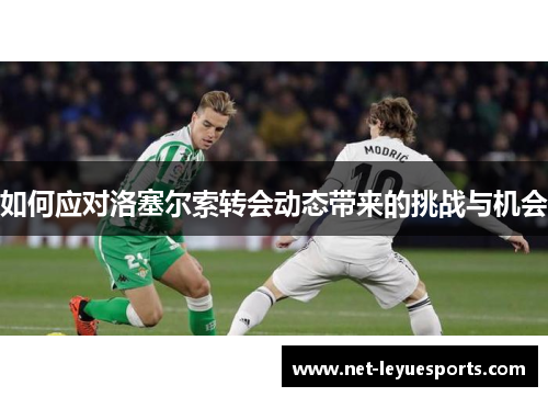 如何应对洛塞尔索转会动态带来的挑战与机会
