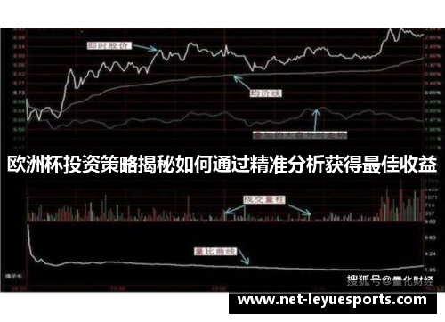 欧洲杯投资策略揭秘如何通过精准分析获得最佳收益