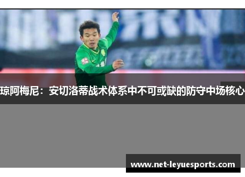 琼阿梅尼：安切洛蒂战术体系中不可或缺的防守中场核心