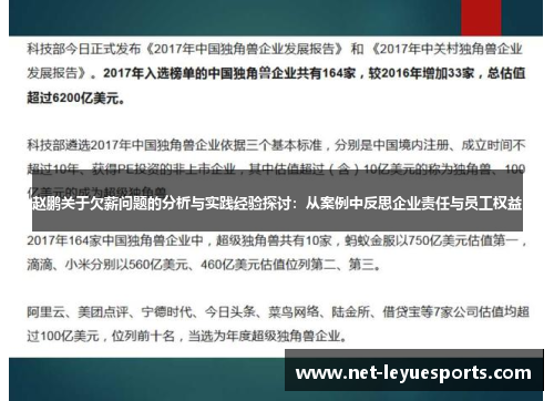 赵鹏关于欠薪问题的分析与实践经验探讨：从案例中反思企业责任与员工权益